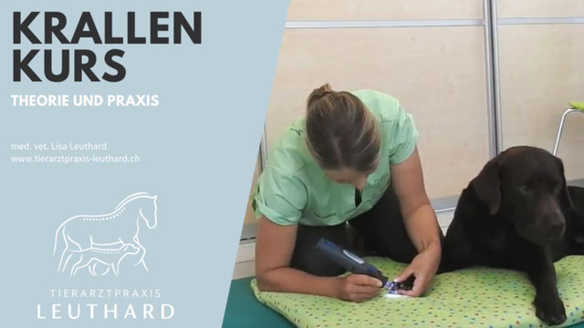 KRALLEN SCHNEIDEN BEIM HUND Tierarztpraxis Leuthard
