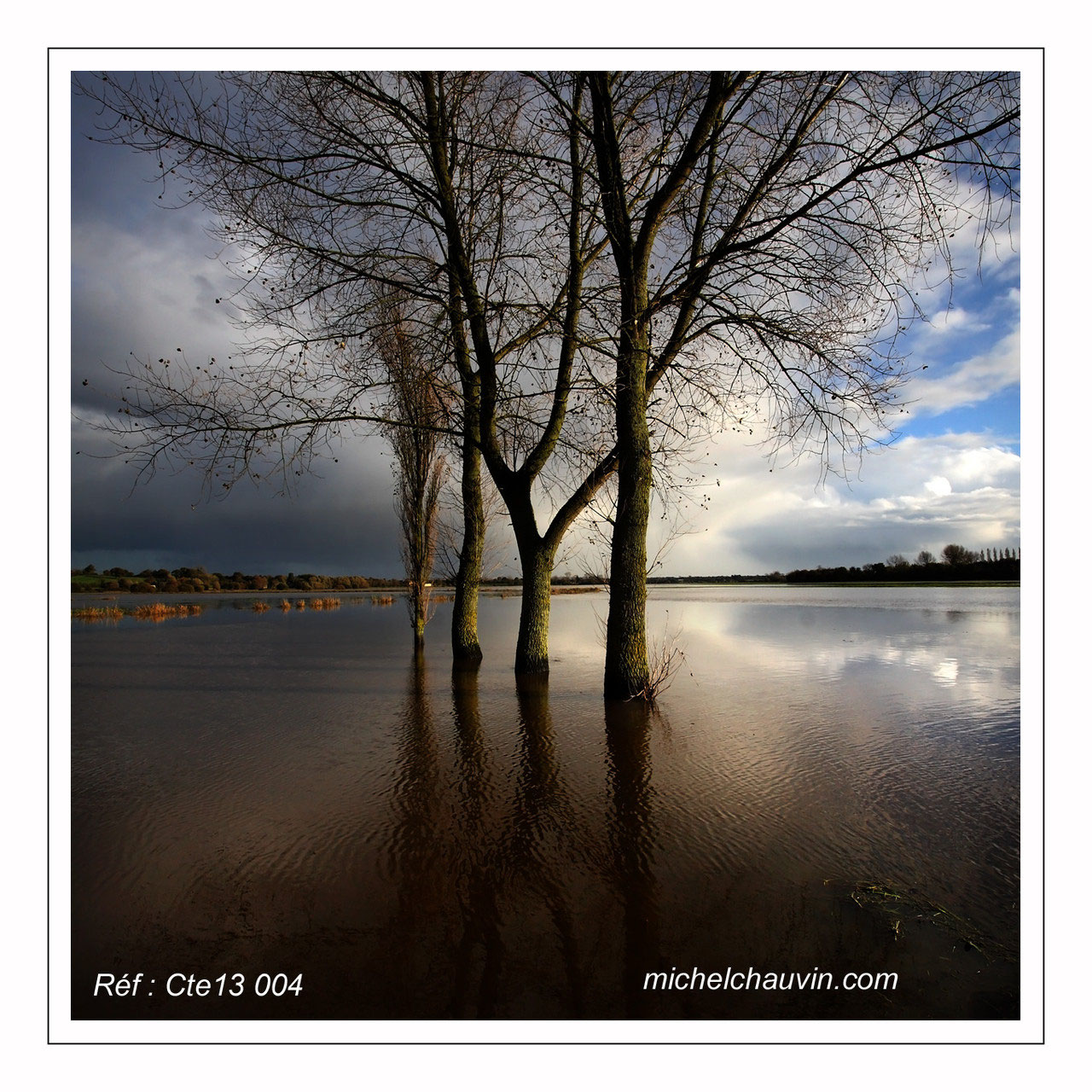 Cotentin Terre Deau Michel Chauvin Photographie
