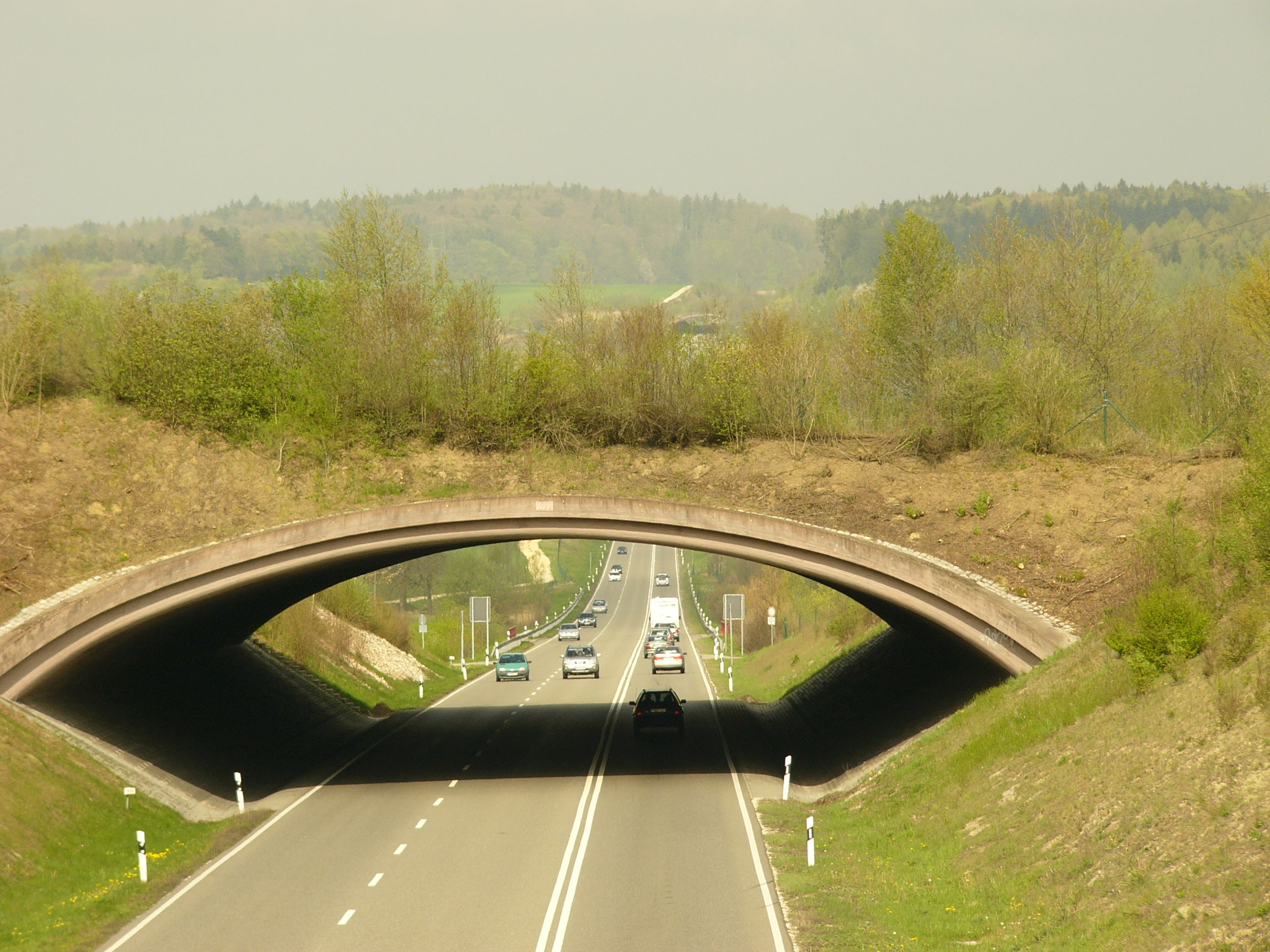 Okologischer Stammtisch In Lindlar Zum Thema Wild Und Grunbrucken