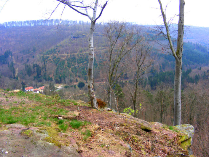 Sentier Des 3 Rochers Images Des Vosges Du Nord
