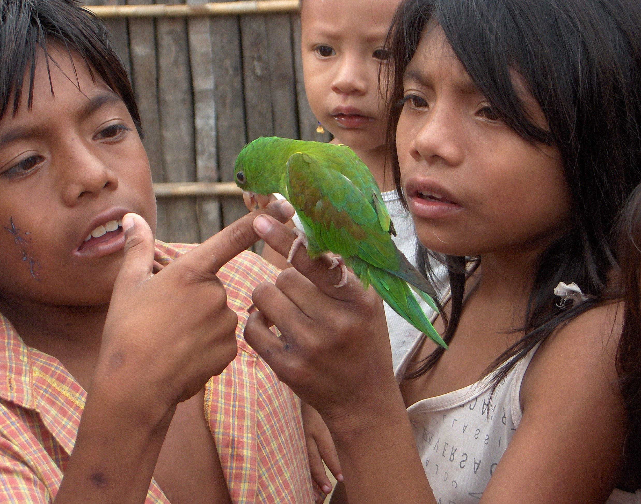 Vortrage Dr Klaus Schuback Dr Klaus Schuback Weltumsegler Autor Referent