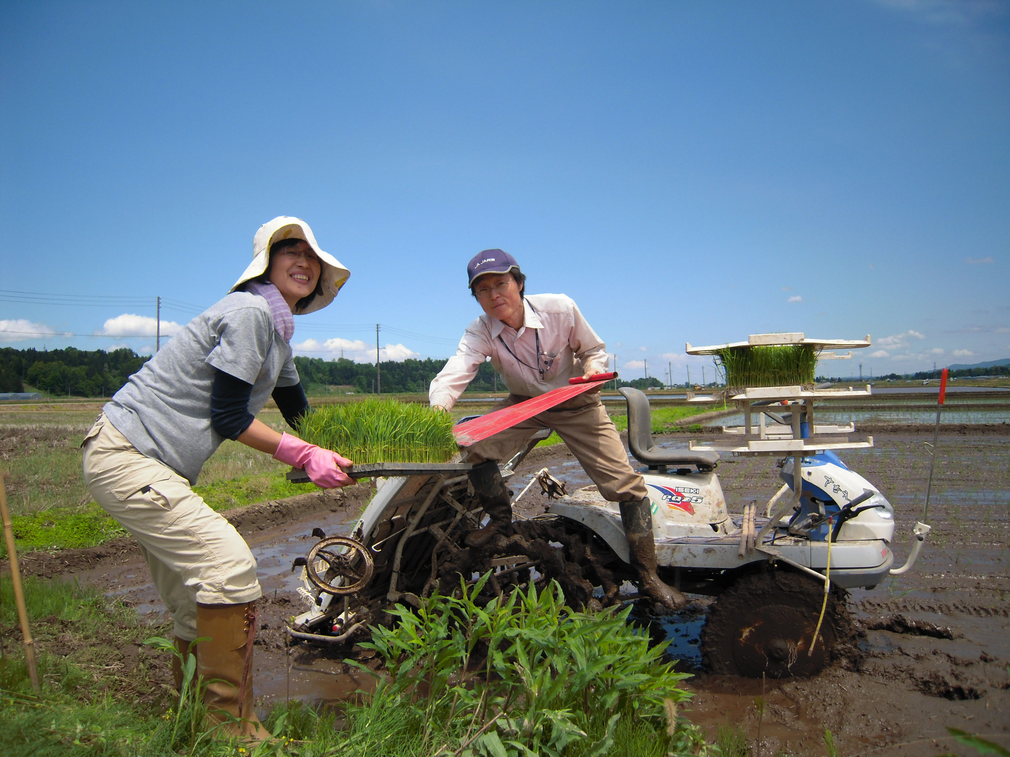 田植え 魚沼わたなべ農園 有機jas米の安心安全な魚沼産コシヒカリ 田植え 魚沼わたなべ農園 有機jas米の安心安全な魚沼産コシヒカリ