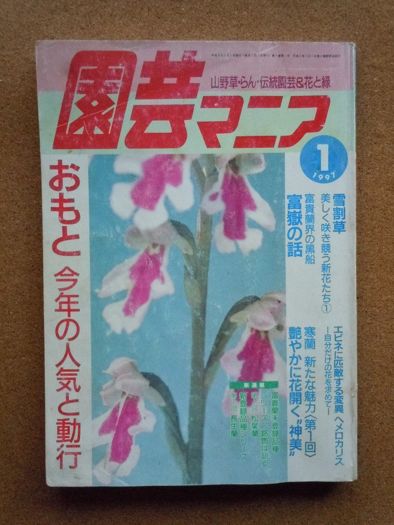 セール！ 洋書『ベネズエラの山岳植物、アンデスとテプイ、ブロメリア