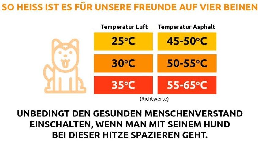 Hunde müssen raus aber nicht bei 30 Grad KleinTierRettung wir