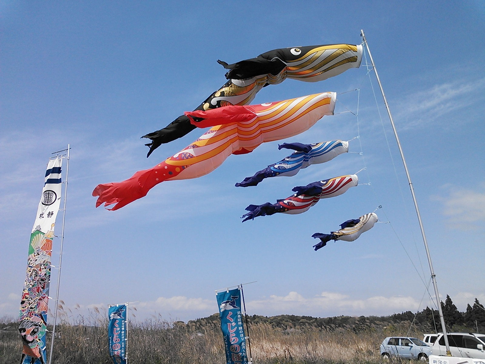 くじらのぼりのピノキオエンタープライズです。 - くじらのぼりの