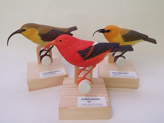 バードカービングによるハワイミツスイの復元 - 内山春雄の