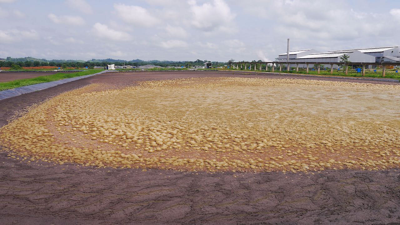 pome treatment plant