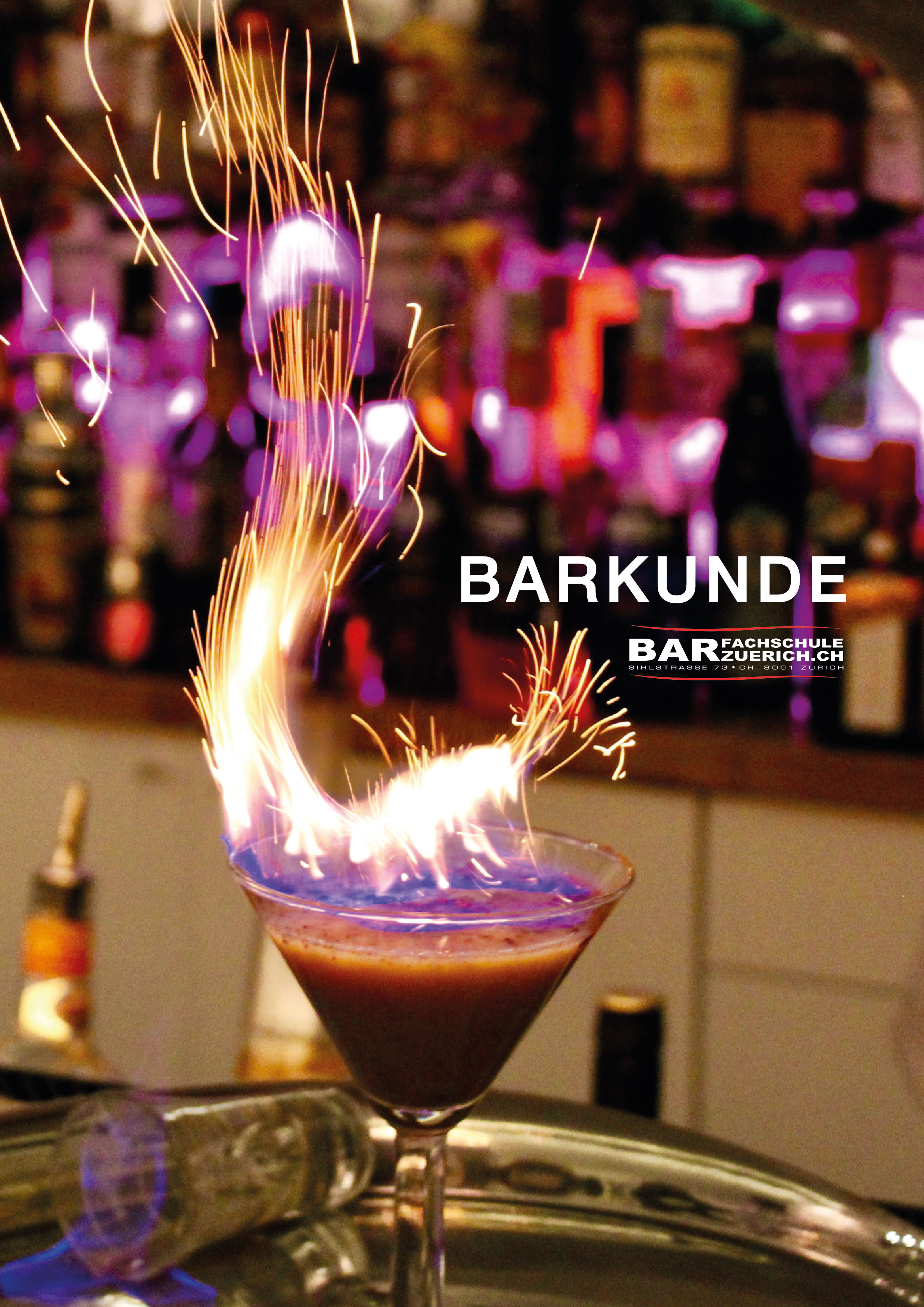 unterlagen profi barkeeper kurs barfachschule zurich
