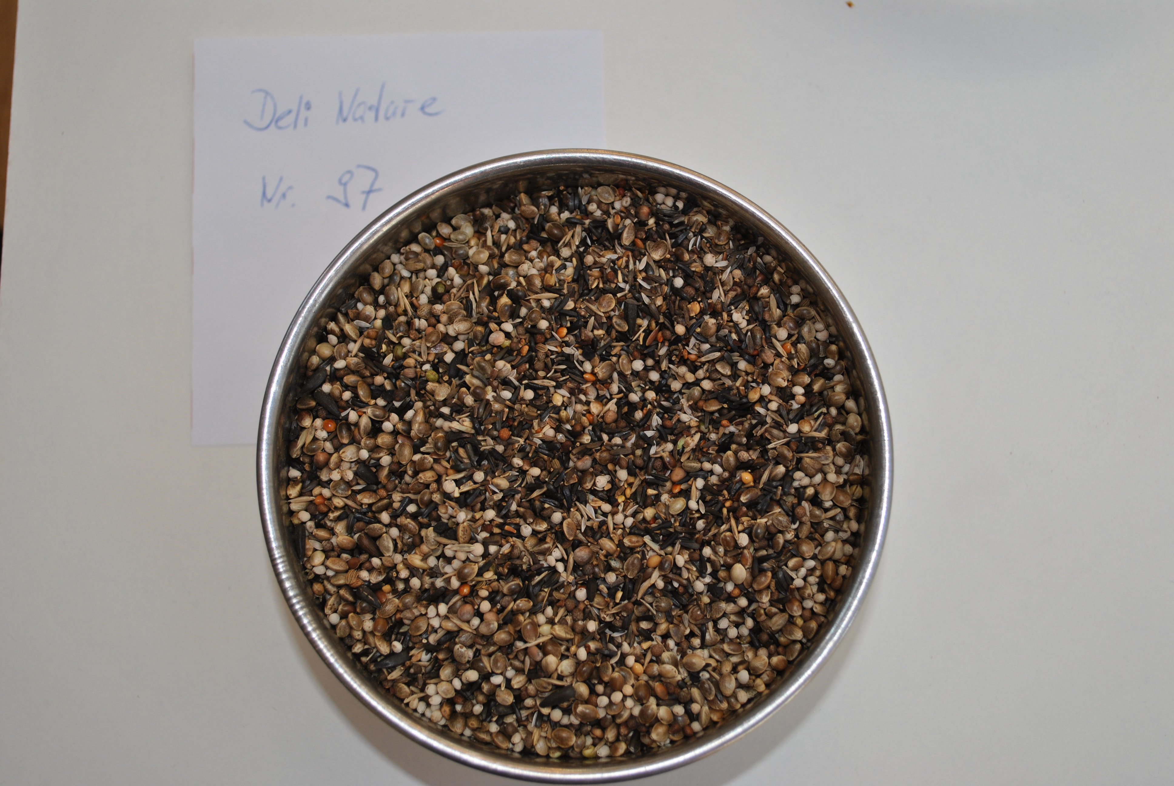 Zucht & Haltung Stieglitz Mutationen