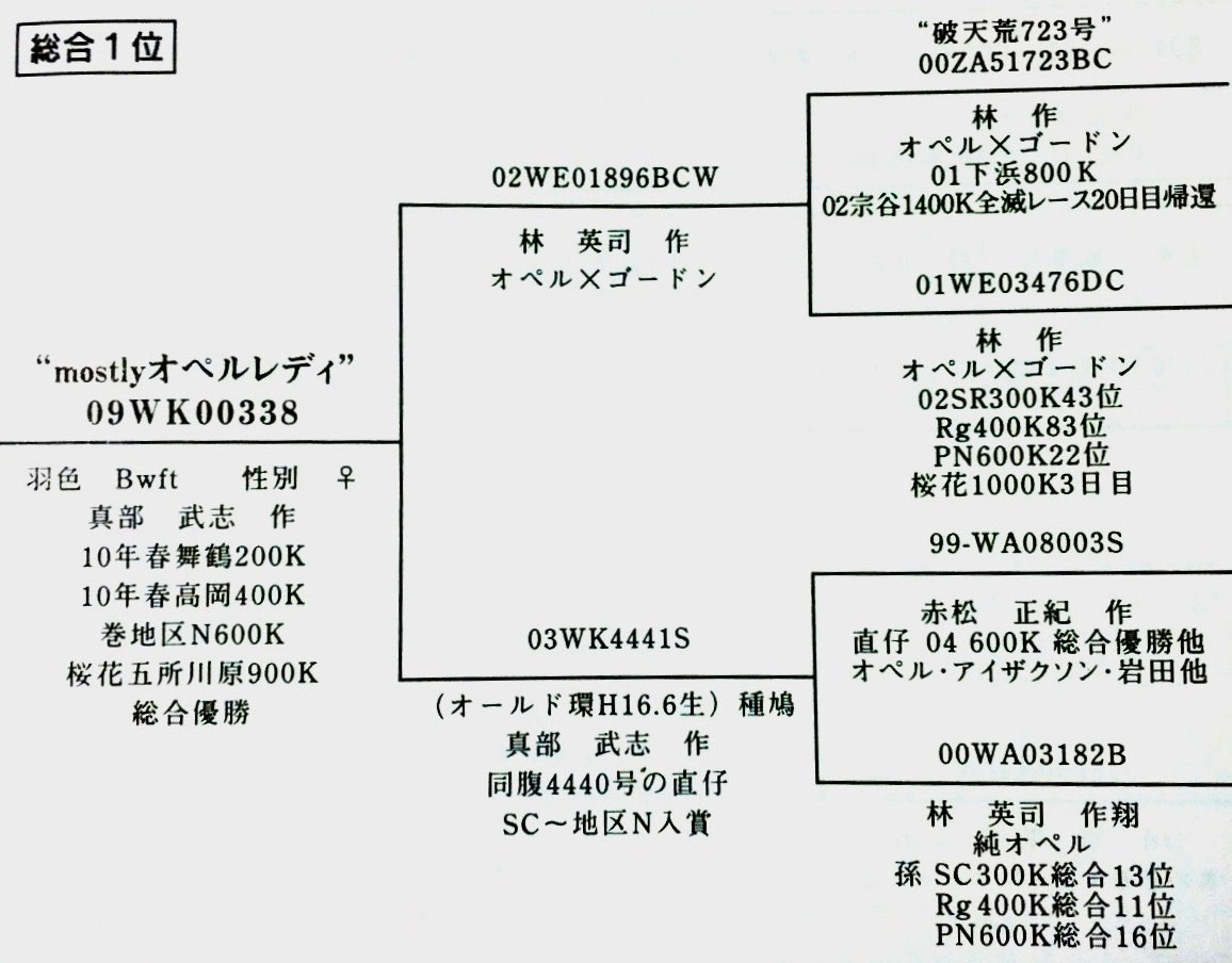レース鳩オペル系 四国長距離鳩 ー四国レース鳩飼料 古美術 絵画 刀剣 彫刻等アートの店 レース鳩 飼料 絵画 彫刻 古美術 刀剣emuandokei レース鳩オペル系 四国長距離鳩 ー四国レース鳩飼料 古美術 絵画 刀剣 彫刻等アートの店 レース鳩 飼料 絵画 彫刻 古美術 刀剣emuandokei