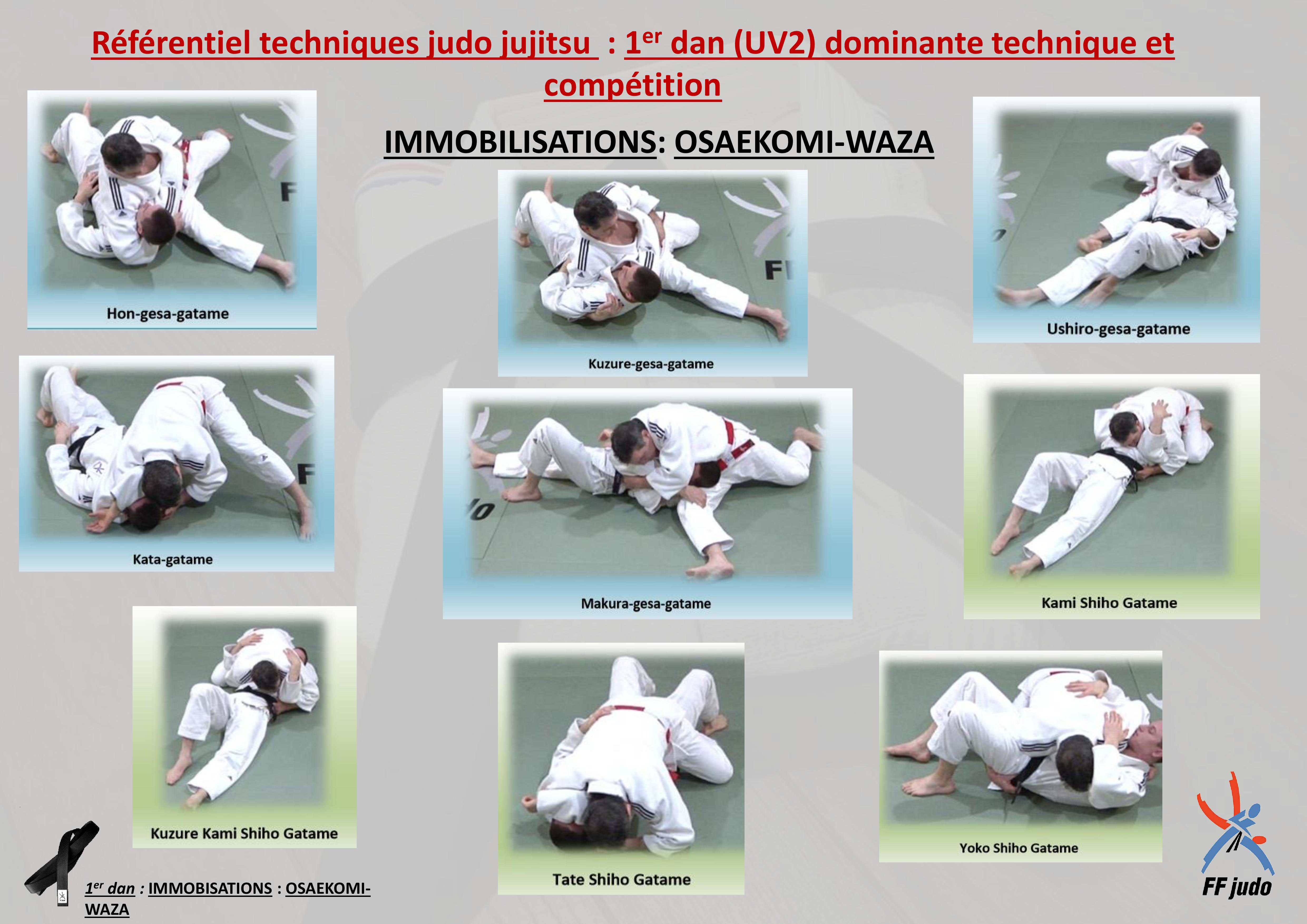 Newaza (travail au sol) Dojo de la Sèvre