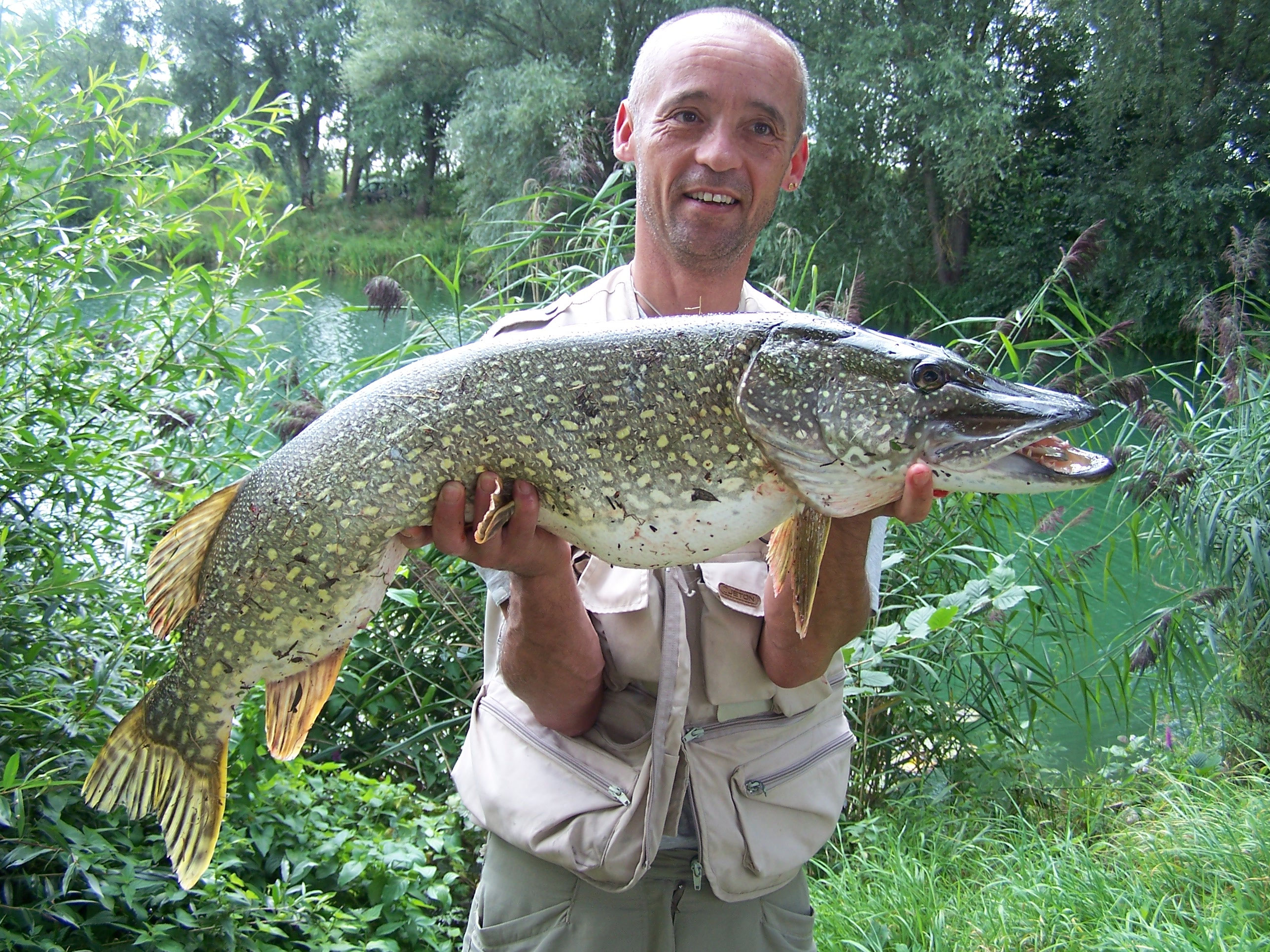 Gewasser Fischereiverein Geislingen Und Umgebung E V