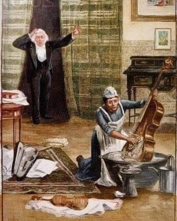 Professional Instructions care of string instruments Laubach violin