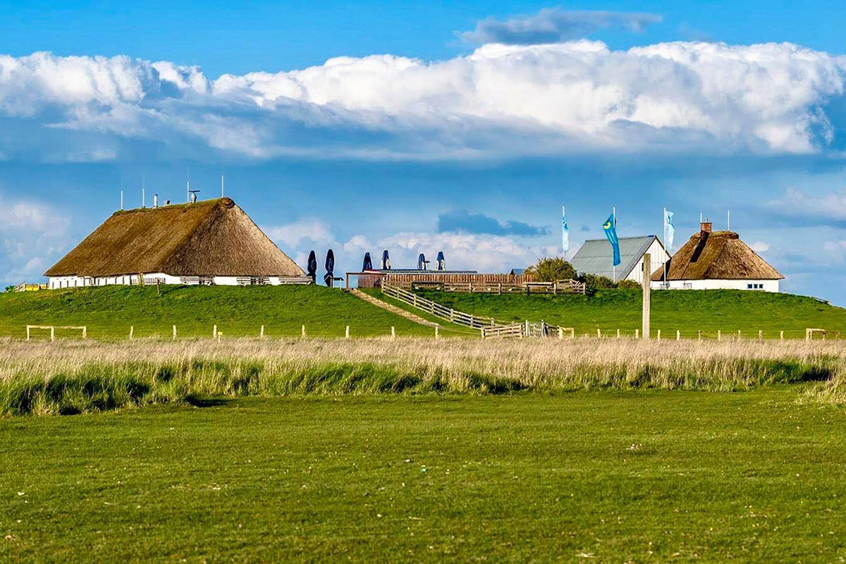 Hamburger Hallig - Amsinck-Haus – Mittleres Nordfriesland