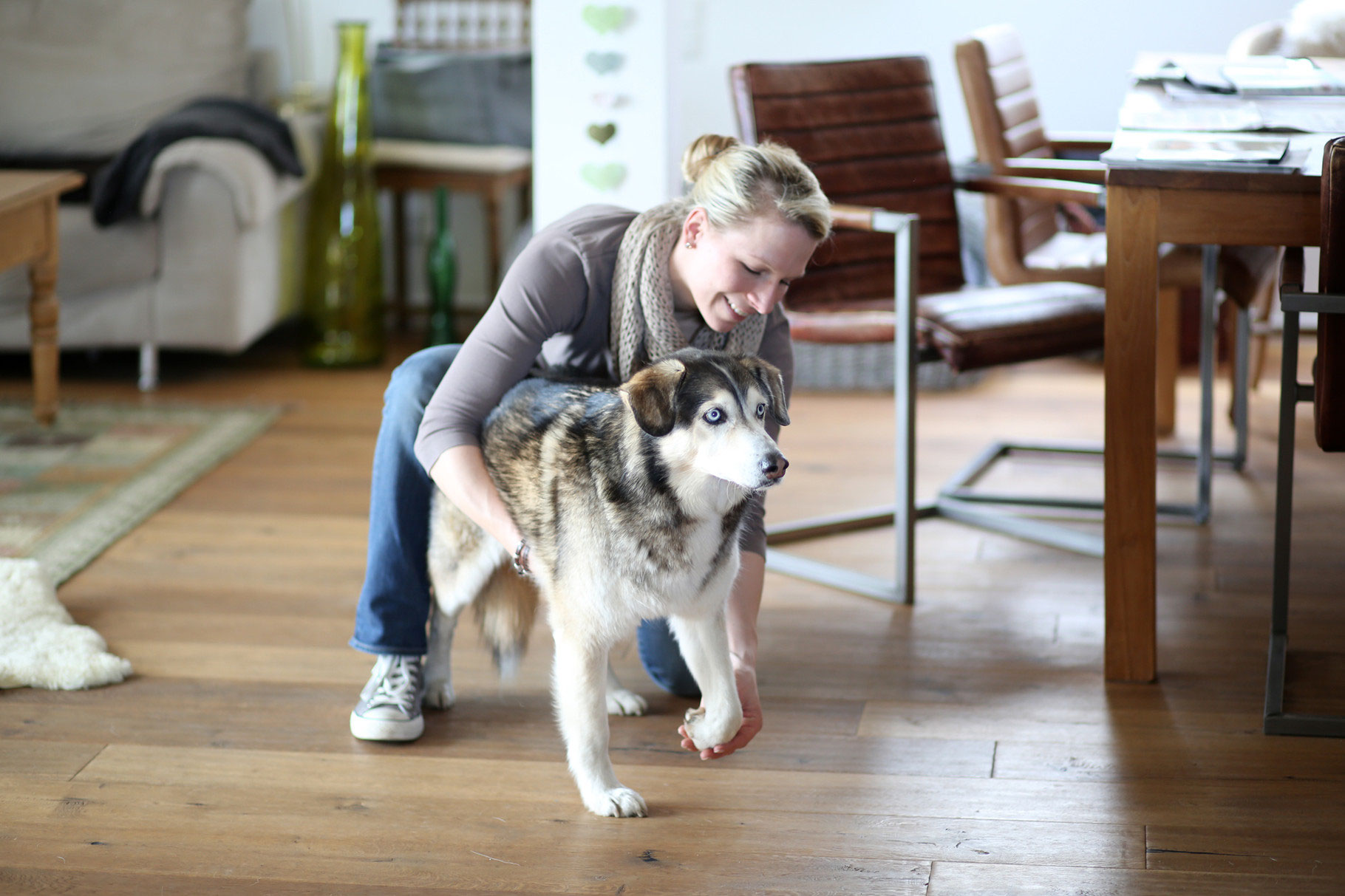 Symptome beim Hund Pia Haas Hunde & Pferdetherapie