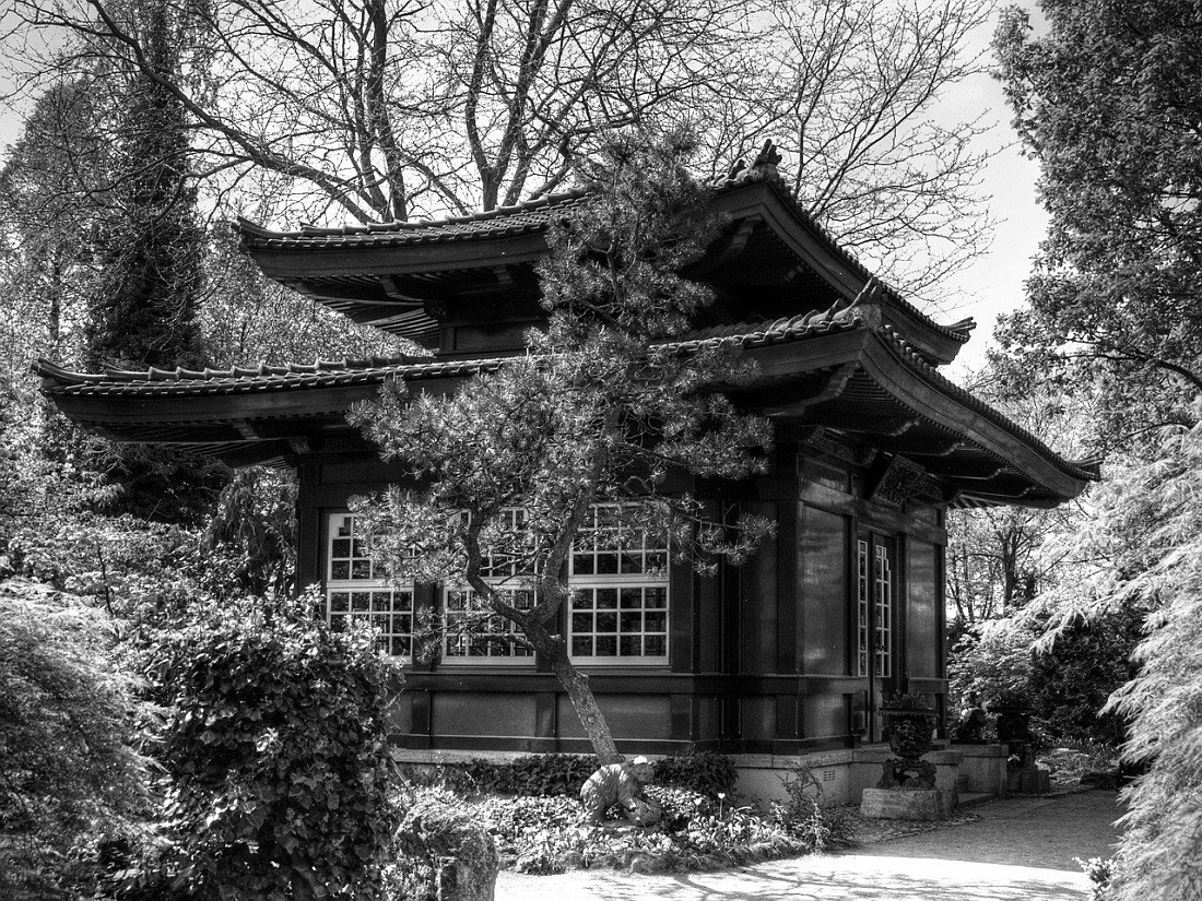 Japanies House Daydreamwalkers Jimdo Page