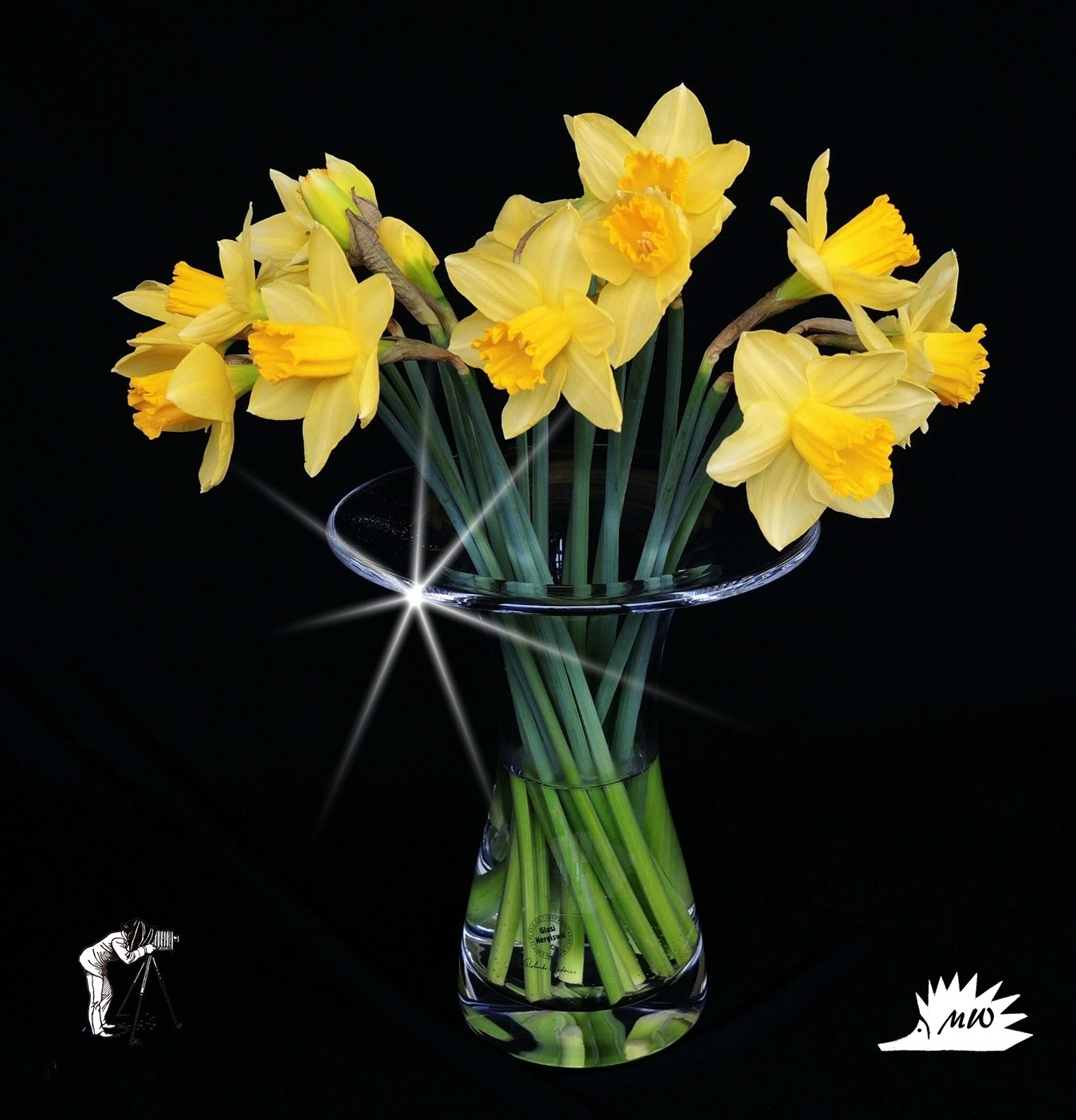 FlowerArt ateliermario