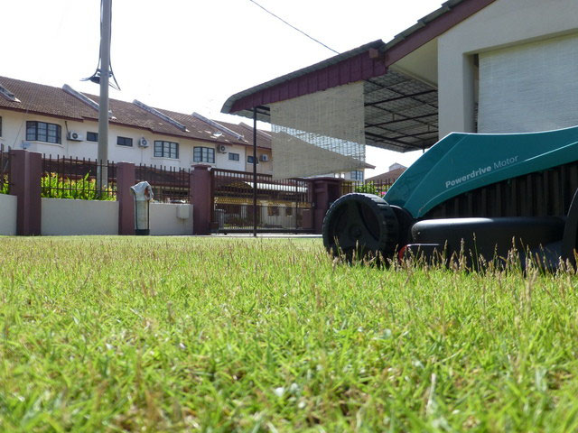 芝生のある家に住んでみて マレーシアライフ 芝生のある家に住んでみて マレーシアライフ