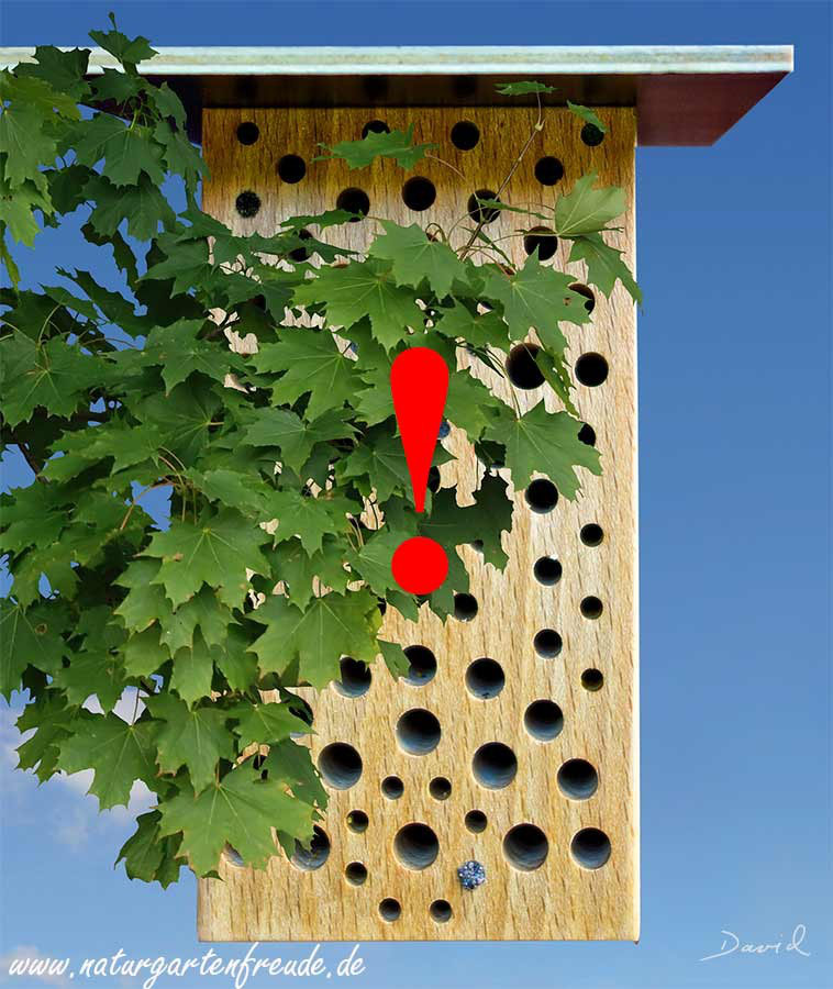 Anbringung Und Aufstellung Von Insektennisthilfen