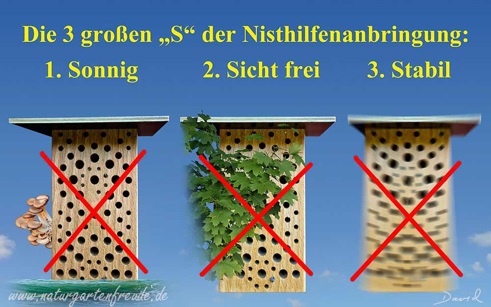 Anbringung Und Aufstellung Von Insektennisthilfen