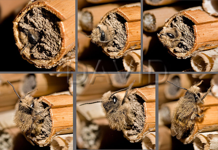 Kiyimdagi gozal jinsiy aloqa porno video