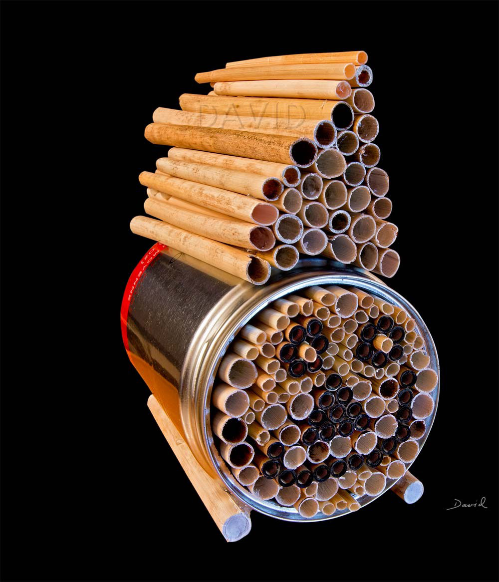 Insektennisthilfe Wildbienennisthilfe Insektenhotel Dose Strohhalme Schilf Wildbienen Bienen Nisthilfen
