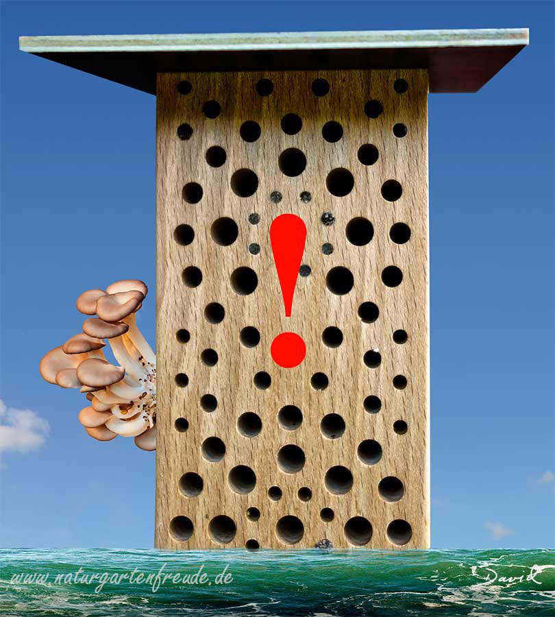 Anbringung Und Aufstellung Von Insektennisthilfen