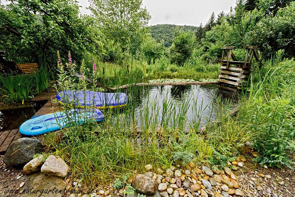 Schwimmteiche Wildbienenschutz Im Naturgarten