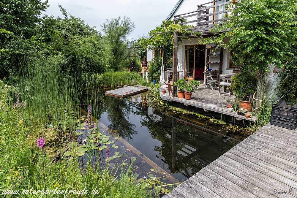 Schwimmteiche Wildbienenschutz Im Naturgarten