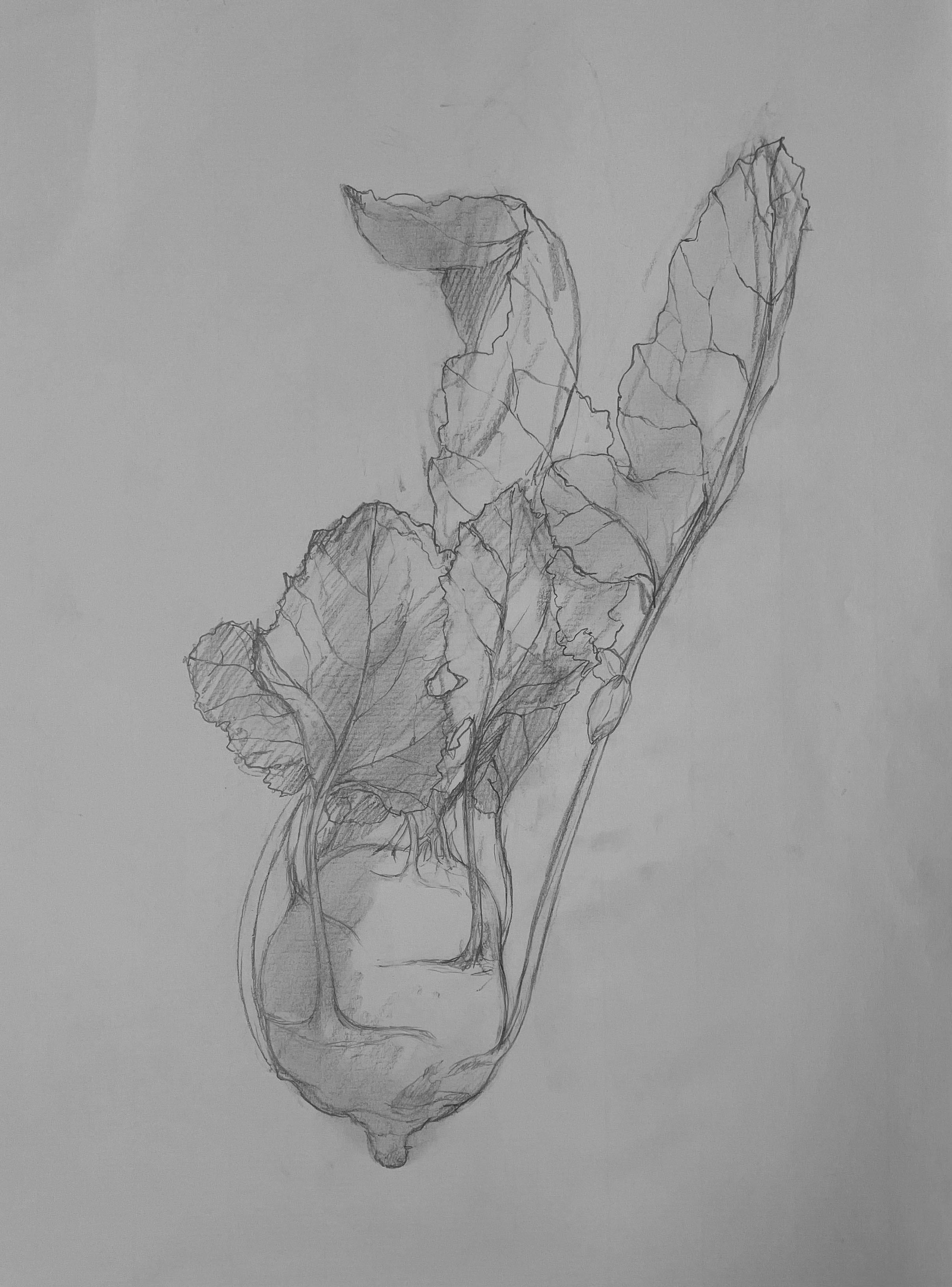 めぐる獣・巳』—四人展Vol.3（企画担当・新堀菜生） - 東京 九段 耀 画廊