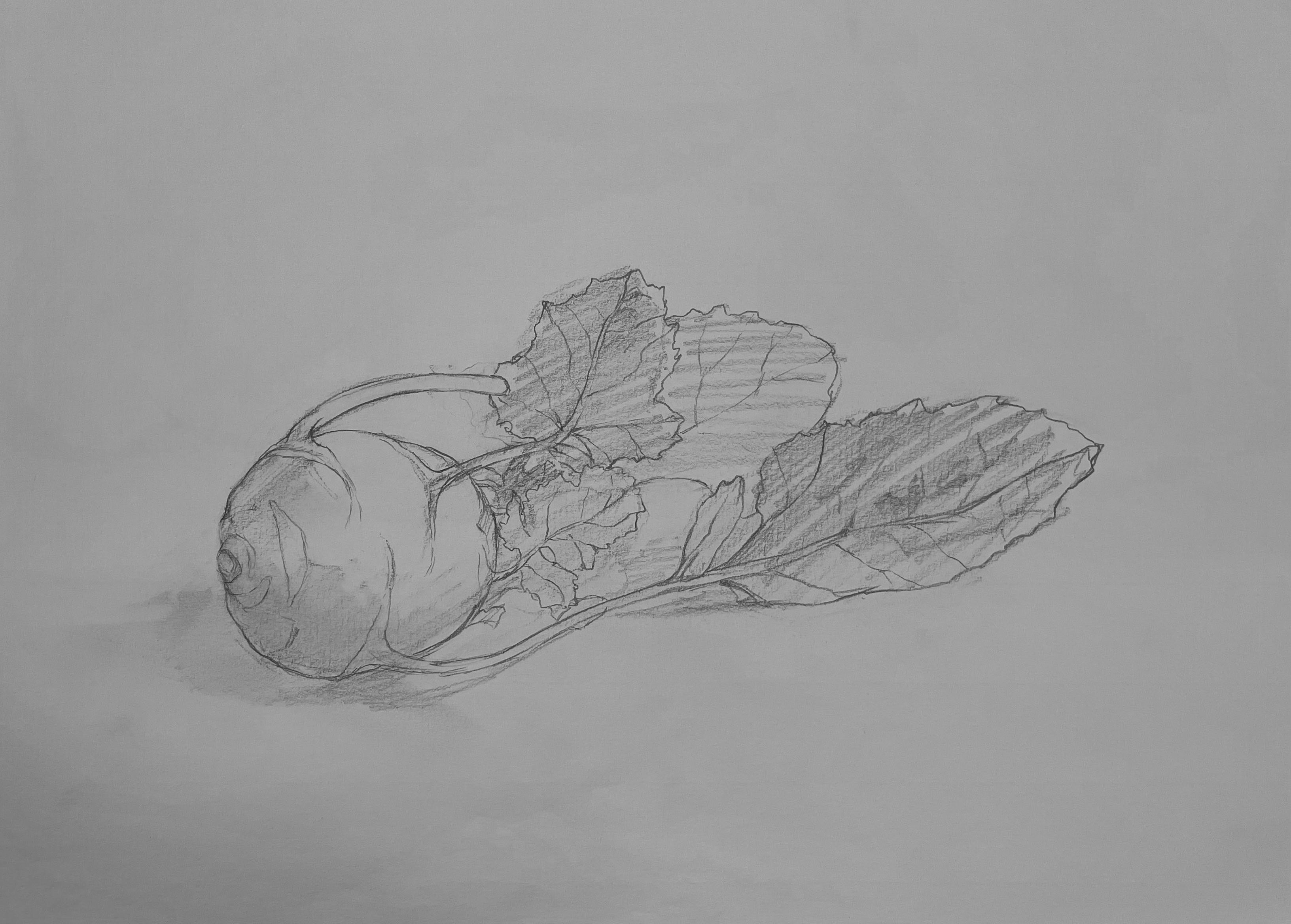 めぐる獣・巳』—四人展Vol.3（企画担当・新堀菜生） - 東京 九段 耀 画廊