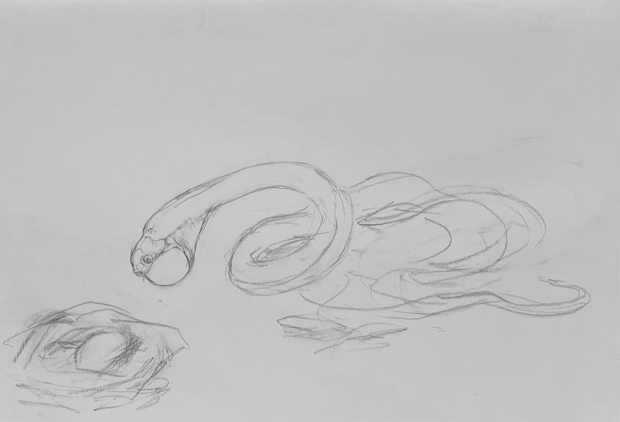 めぐる獣・巳』—四人展Vol.3（企画担当・新堀菜生） - 東京 九段 耀 画廊