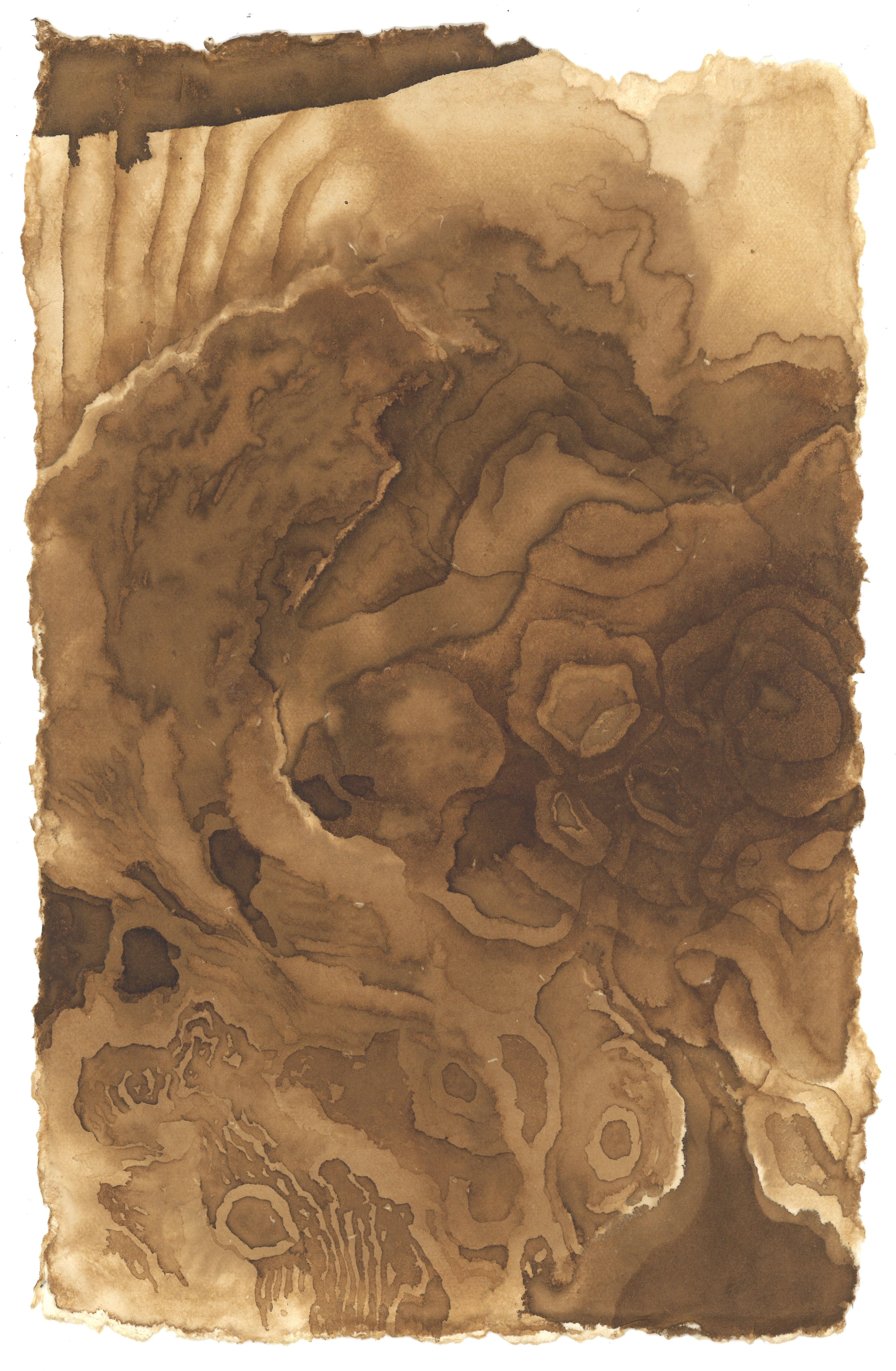 めぐる獣・辰』—四人展Vol.2（企画担当・新堀菜生） - 東京 九段 耀 画廊