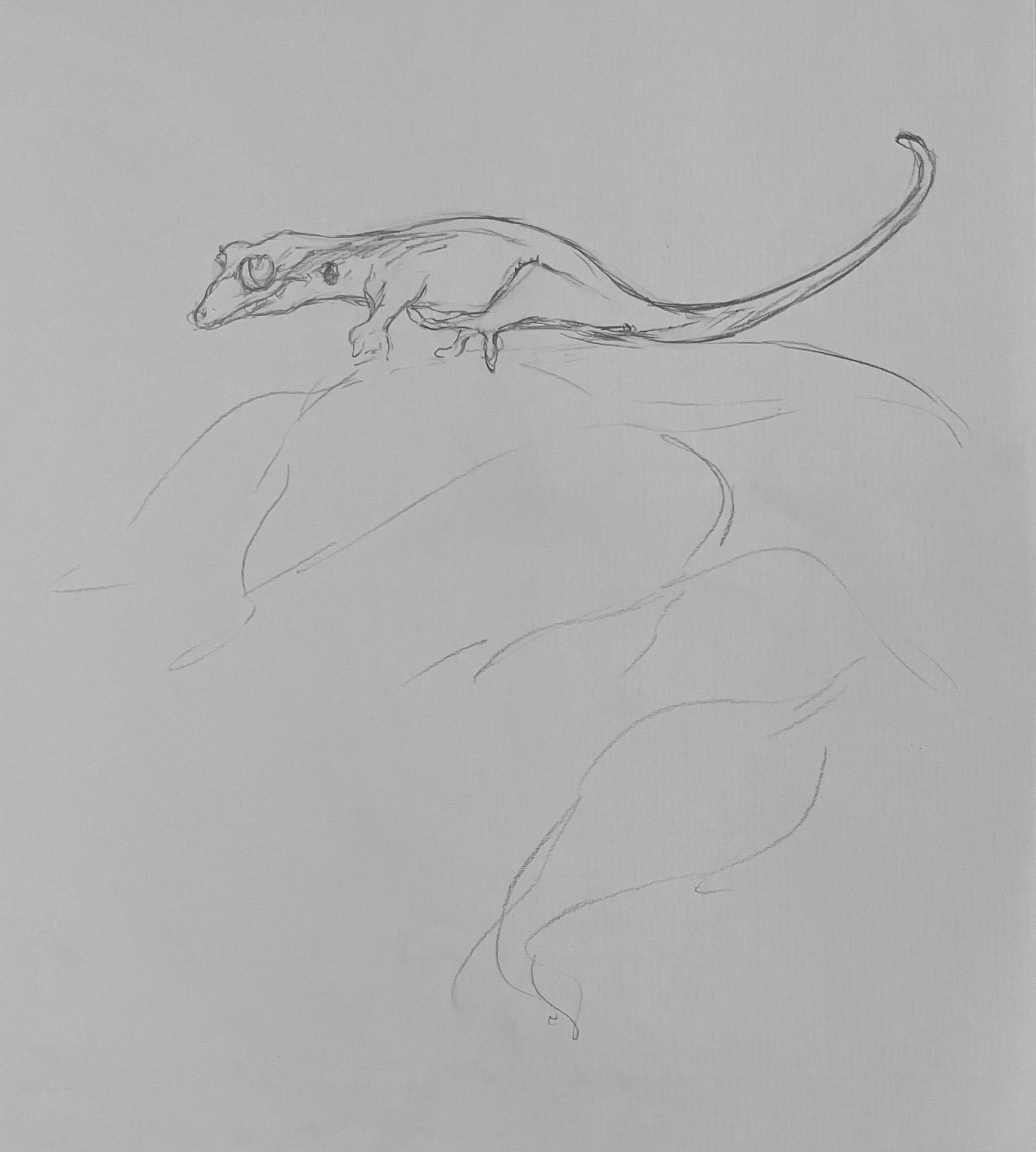 めぐる獣・巳』—四人展Vol.3（企画担当・新堀菜生） - 東京 九段 耀 画廊