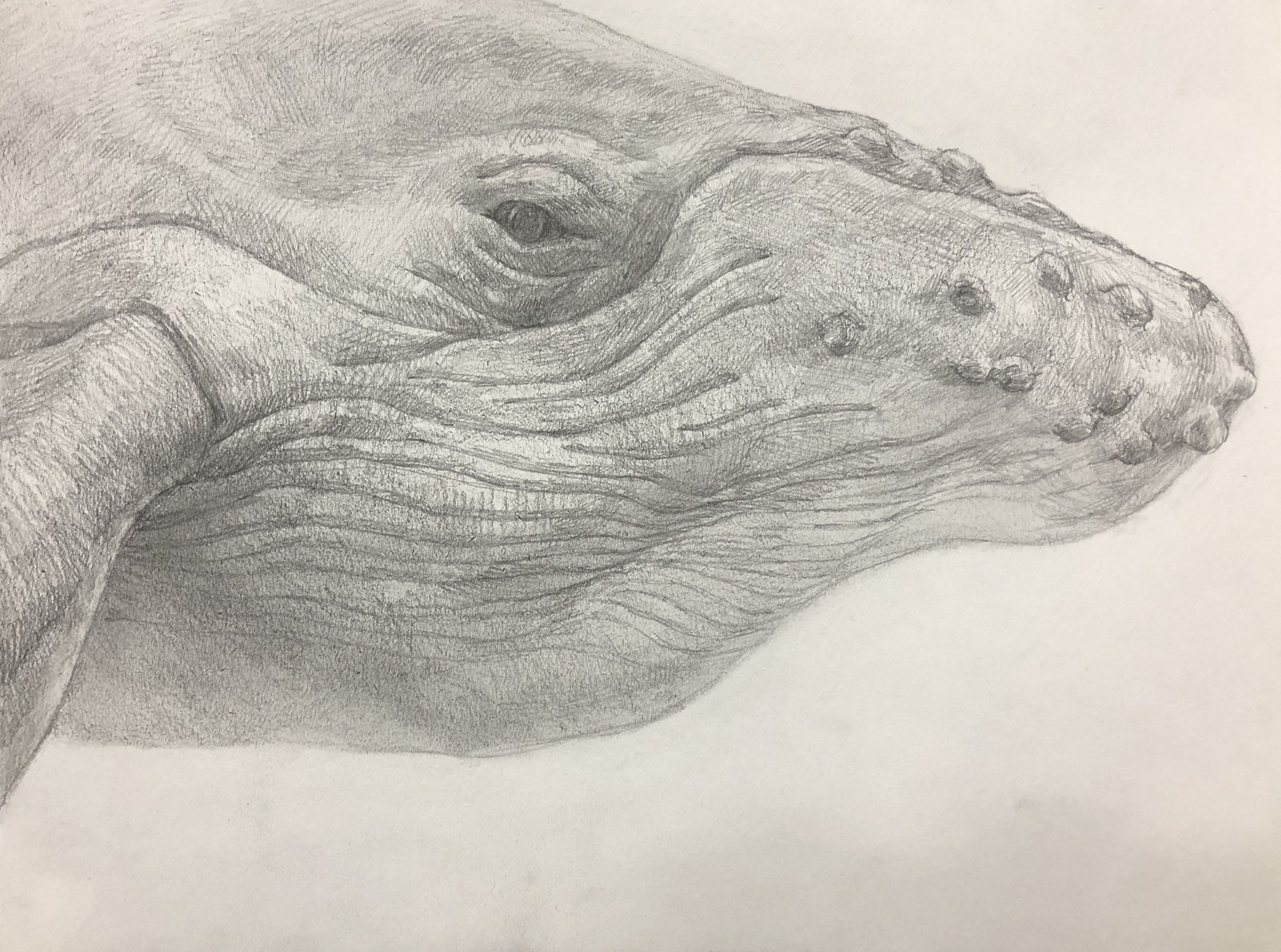 めぐる獣・辰』—四人展Vol.2（企画担当・新堀菜生） - 東京 九段 耀 画廊