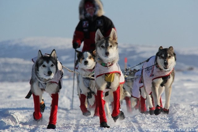 Le Rêve Blanc Site De Danslavalisedecamille