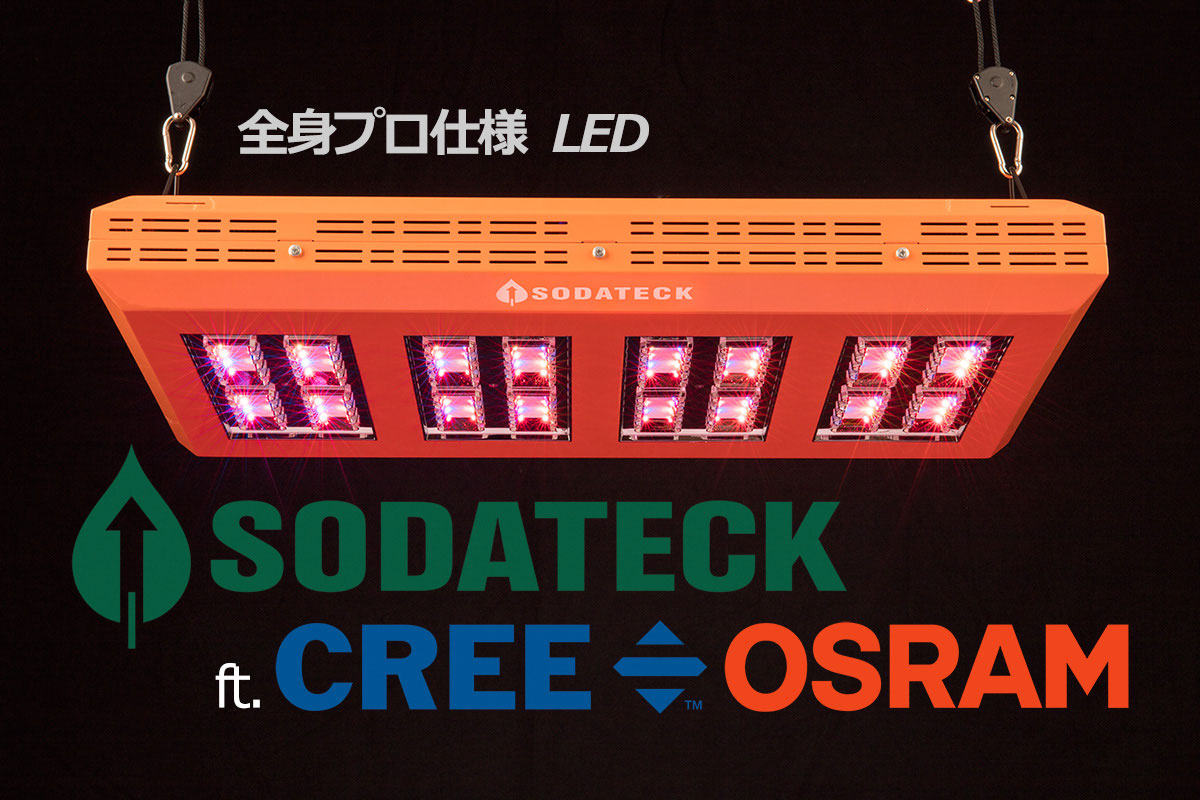 Sodateck LED PRO 360 オレンジ Sodateck LED PRO 360 オレンジ 2025年
