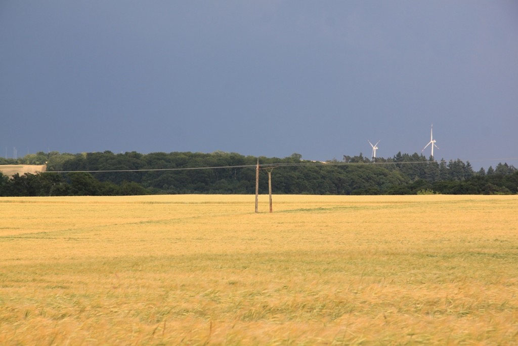 2015 Freiwillige Feuerwehr BuchMörz