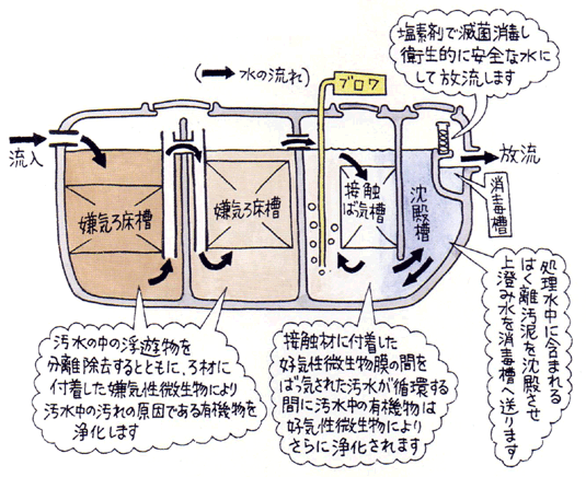 浄化槽とは - 福岡県筑後市の浄化槽維持管理・下水道排水設備指定工事