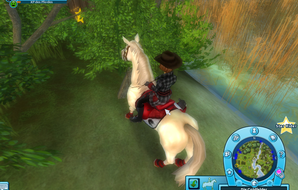 Sterne Star Stable Hilfe Info Deine Hilfe Und Infoseite Zum Beliebten Pferde Onlinespiel Von Haley Gladesmith