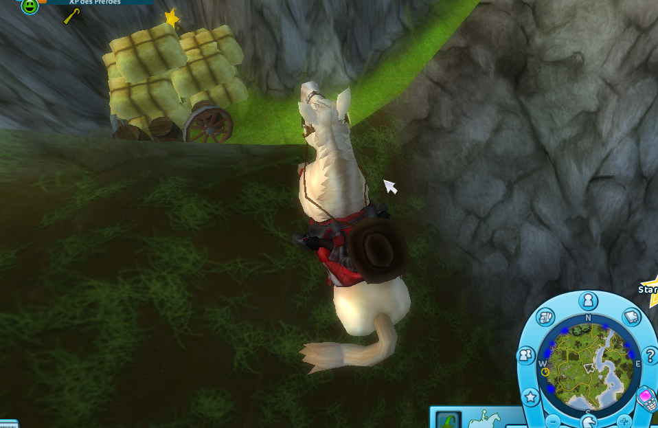 Sterne Star Stable Hilfe Info Deine Hilfe Und Infoseite Zum Beliebten Pferde Onlinespiel Von Haley Gladesmith