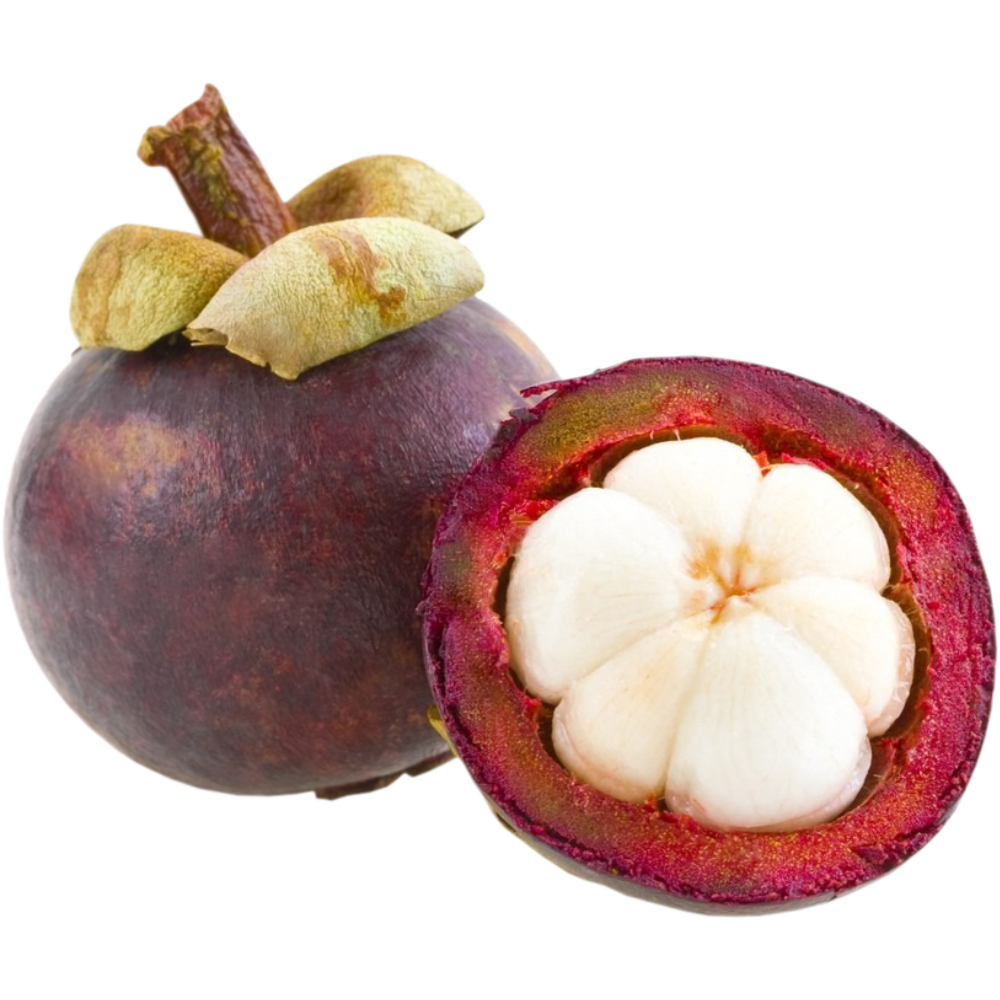 Mangostán Alimentación al por mayor. Doña Mireles