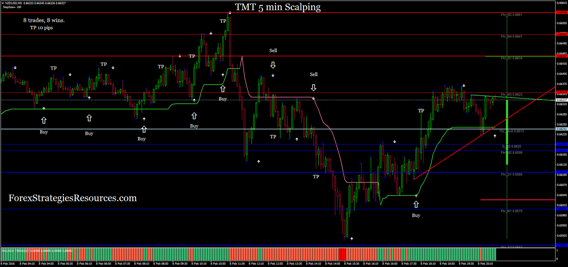 Tmt 5 Min Scalping Forex Strategies Forex Resources Forex - 
