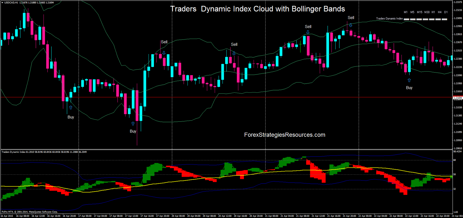 Traders Dynamic Index how to use - Forex Strategies - Forex Resources - Forex  Trading-free forex trading signals and FX Forecast