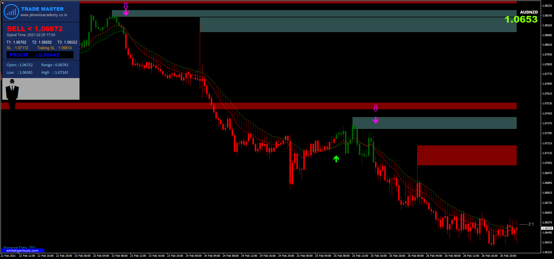 Master trend prekybos sistema