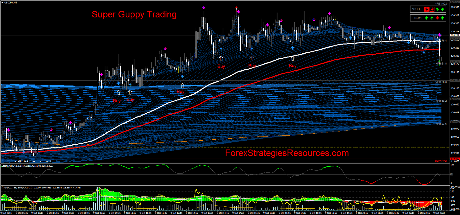 Super Guppy Trading Forex Strategies Forex Resources Forex - 