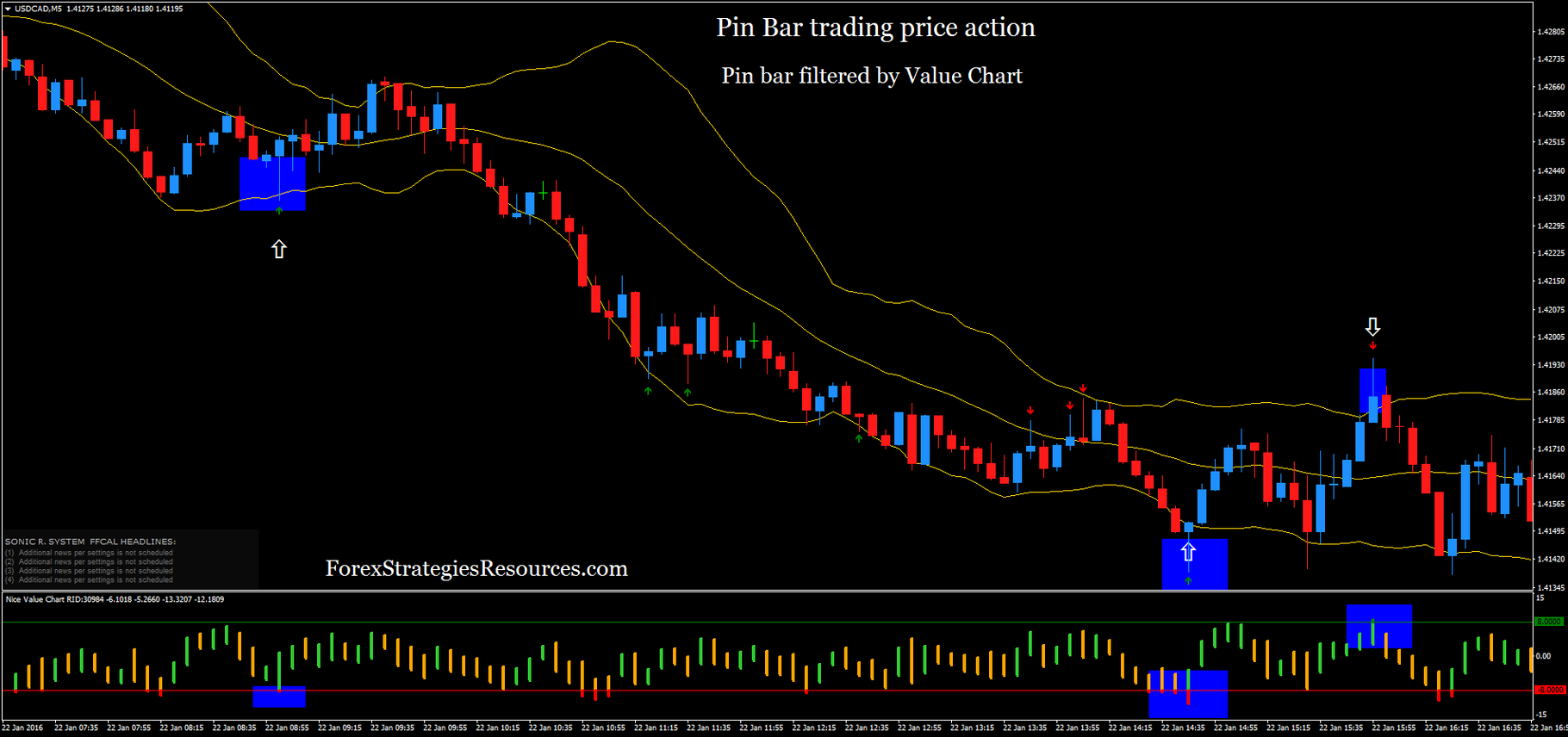 Pin Bar trading price action Forex Strategies Forex Resources
