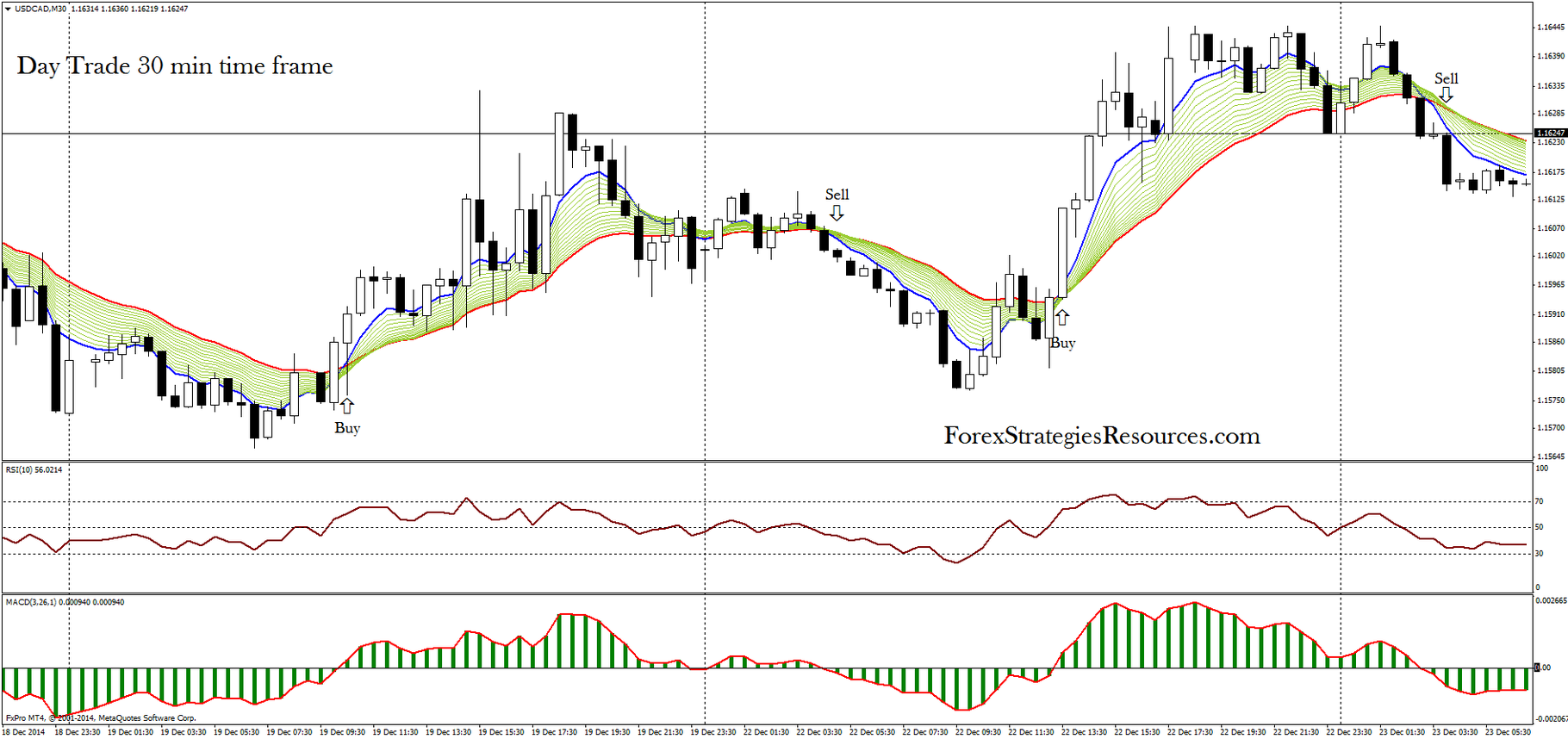 Blame Forex Login