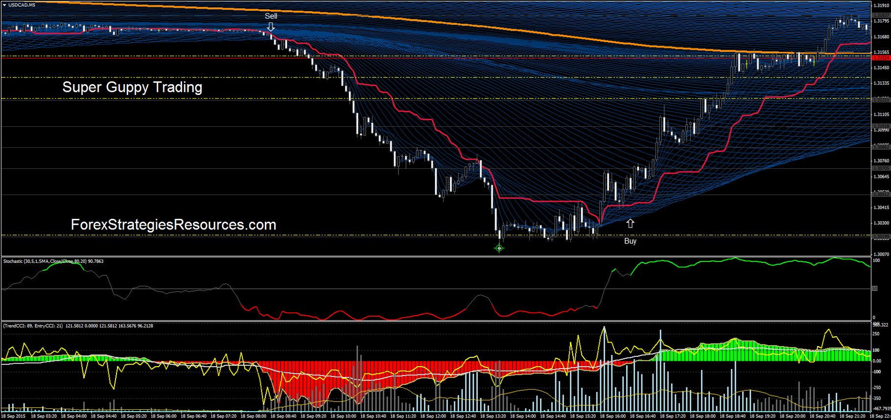 Trend Trading System Forex Strategies Forex Resources Forex