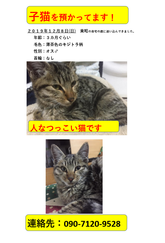 迷子探しのお手伝い 犬猫愛護会わんぱーく 岡山 譲渡会 里親 ボランティア